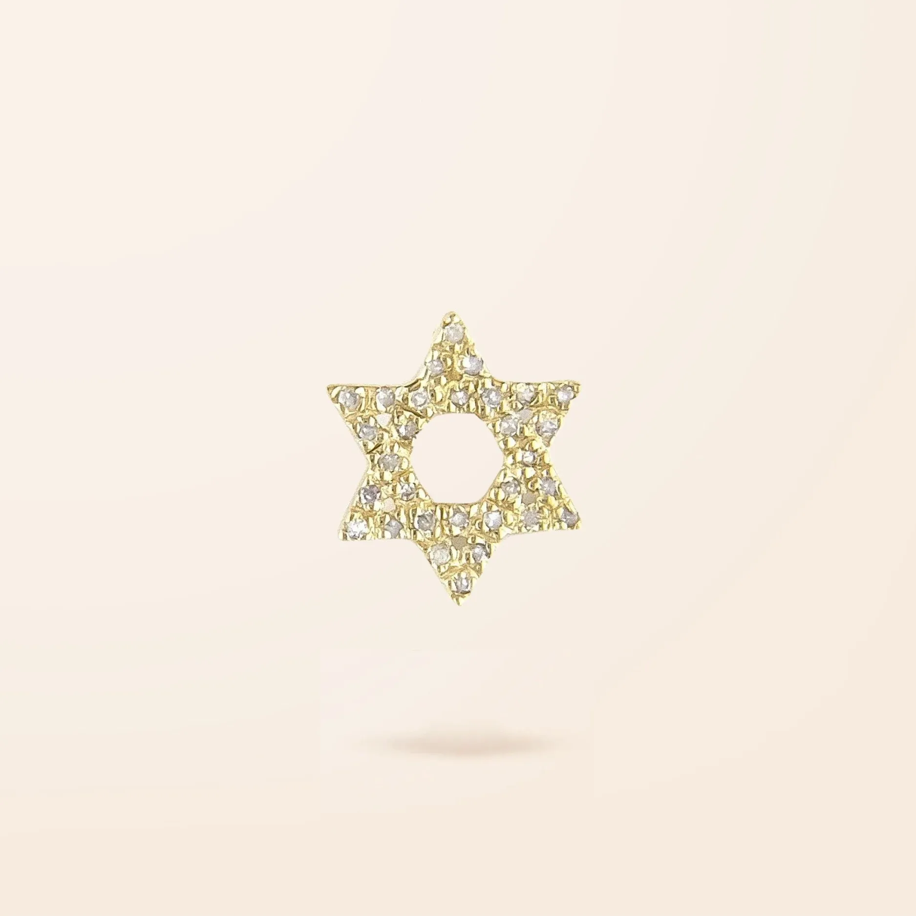 14K Gold Diamond Star of David Charm