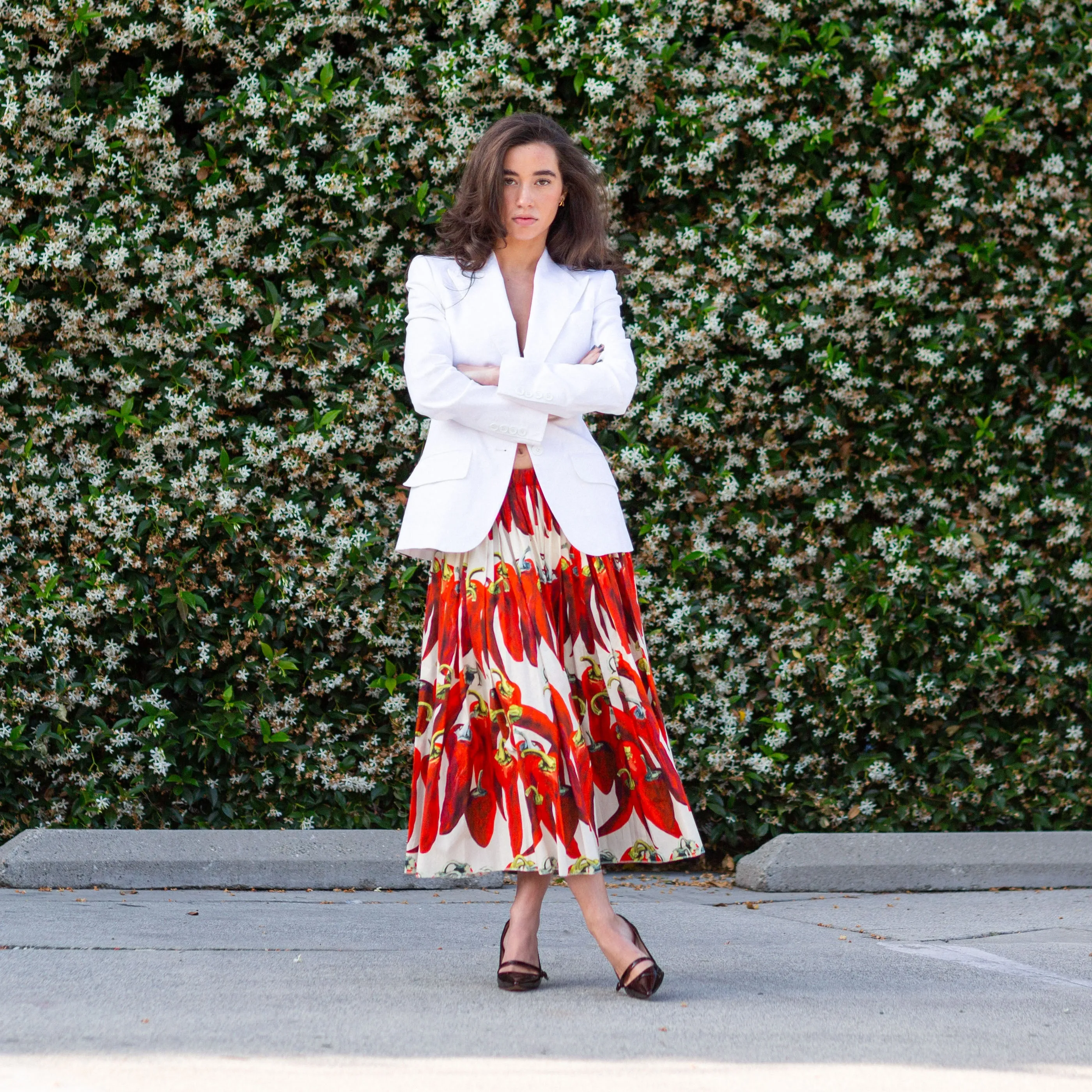 2012 Chili Pepper Print Cotton A-Line Skirt