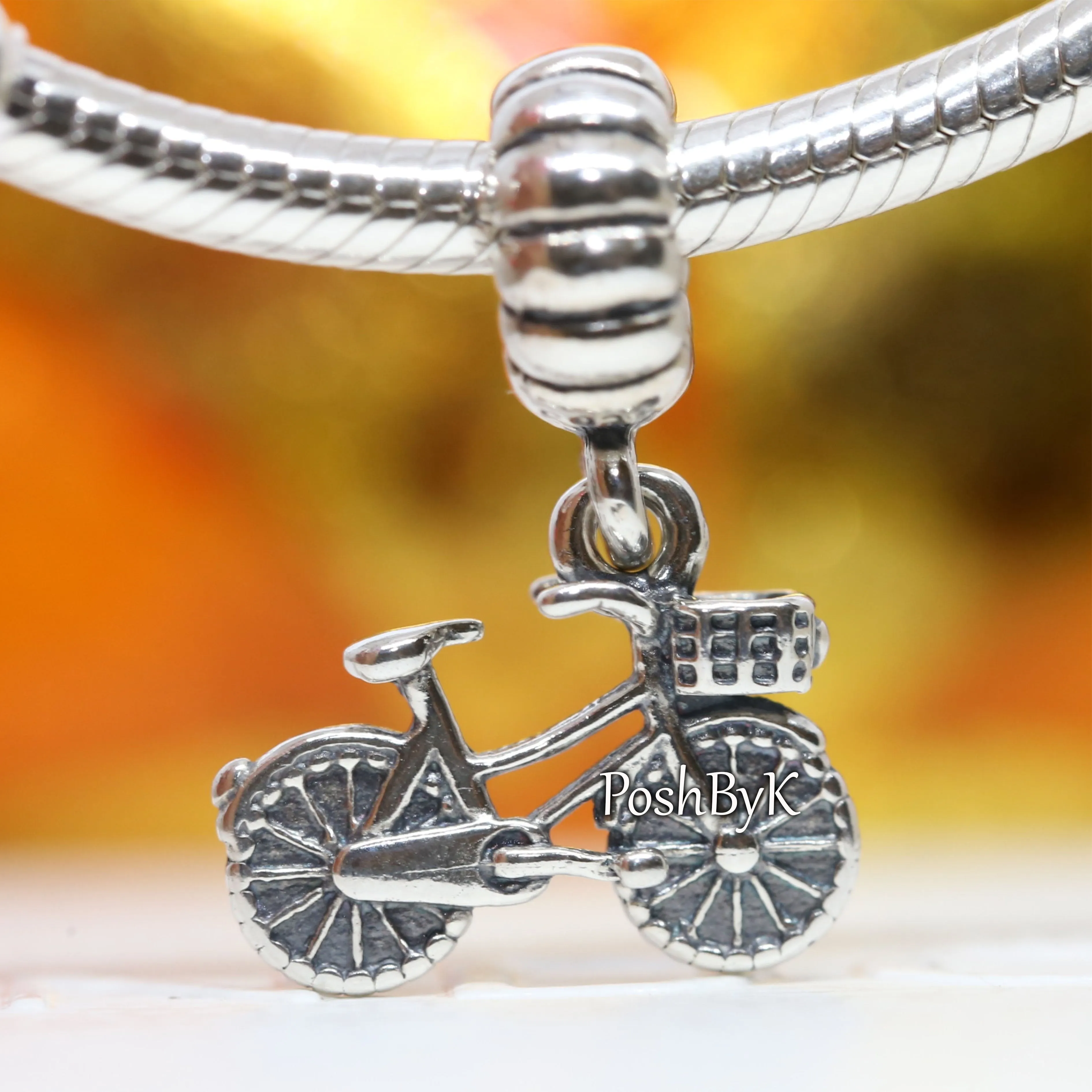 Bicycle Bike Charm 791266