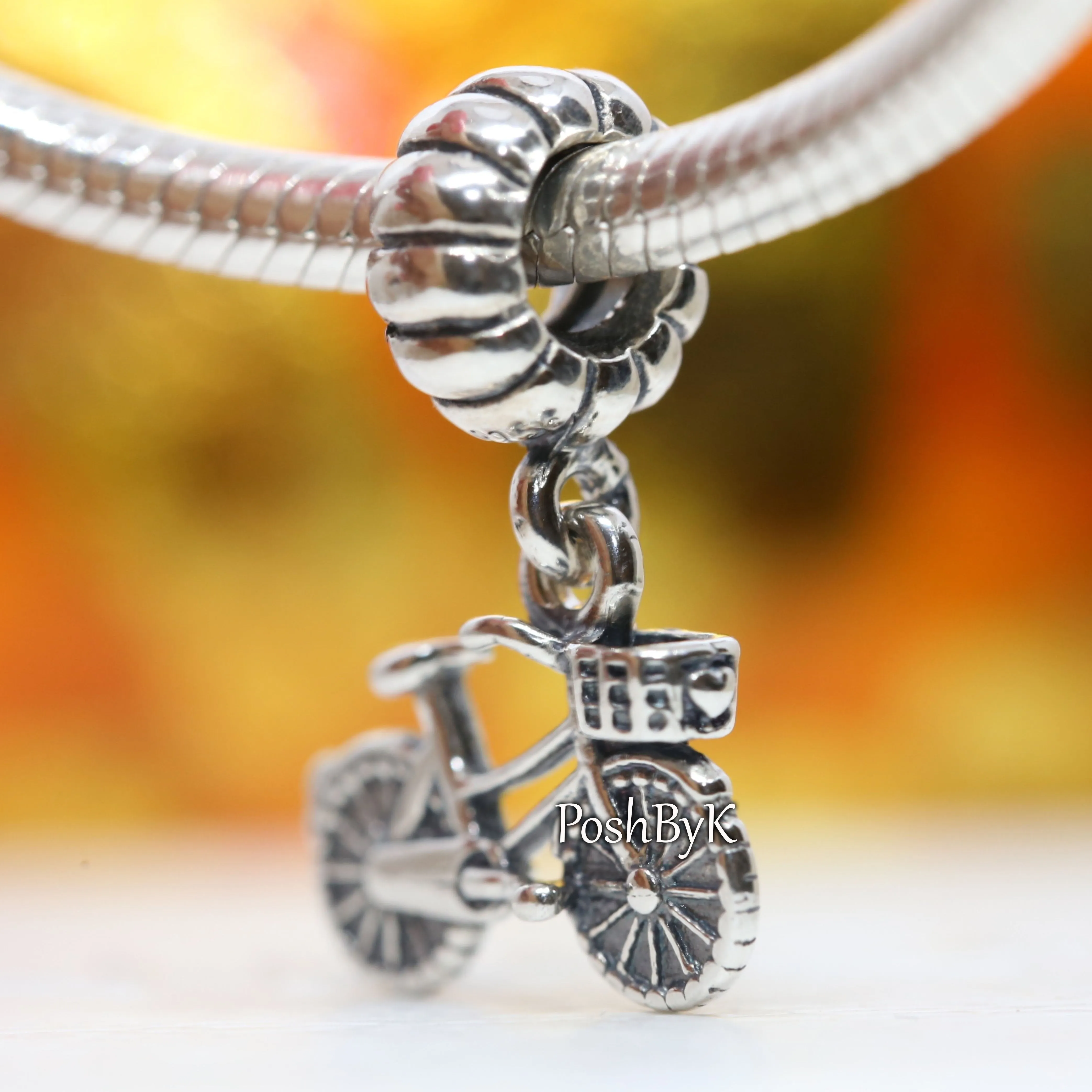 Bicycle Bike Charm 791266